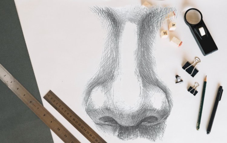 How To Draw The nose From The Front Side