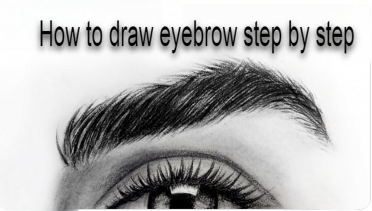 How To Draw Realistic Eyebrows Easily Step By Step