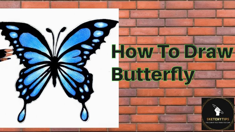 How To Draw A Realistic Butterfly With Pencil Colours Step By Step